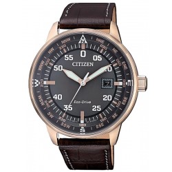 Comprar Reloj para Hombre Citizen Aviator Eco-Drive BM7393-16H