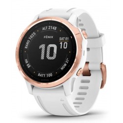 Comprare Orologio Garmin Unisex Fēnix 6S Pro 010-02159-11