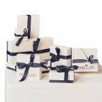 Image of the Morellato Drops Womens Necklace SCZ1287